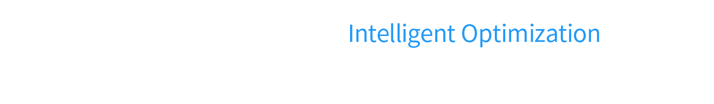 We Are Talking About Intelligent Optimization 我们说的是--超大规模智能优化求解