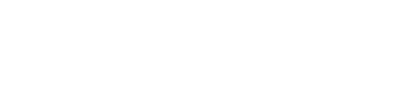 基于神经下潜的优化求解|Introdution to Optimization solution